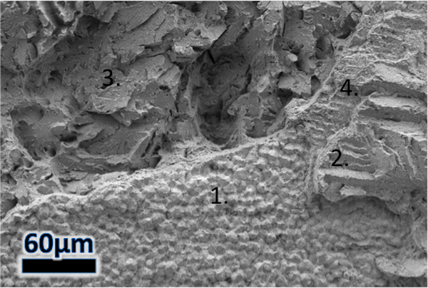 Figure 5 – SEM fractograph of multiple morphologies occurring at different distances from the fusion boundary: 1) a flat fracture region with crater-like features, 2) a terraced cleavage-like region, 3) failure within the steel HAZ and 4) a transitio