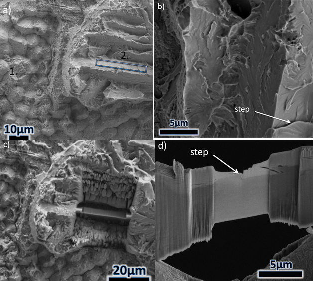 Figure 9 – Retrieved subsea 8630-625 specimen fracture surface: a) selection of sample cleavage-like surface for wafer extraction b) high magnification image showing steps on the cleavage-like surface, c) SEM image showing area from which wafer was r