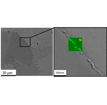 Figure 1. Chromium (II) nitrides at the ferrite-to-ferrite phase boundaries.  Overlapped, nitrogen elemental mapping with windowless EDX