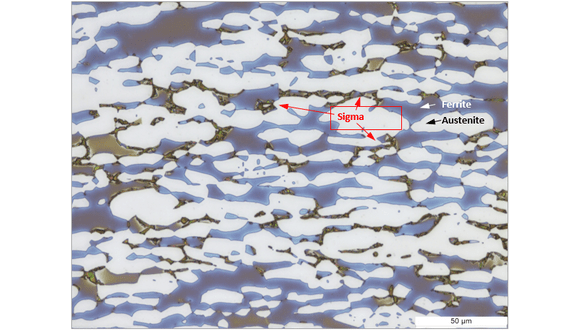 Figure 1. Light micrograph of duplex stainless steel etched in a 20% NaOH solution. Sigma phase appears as the darkest phase, mostly adjacent to the interphase boundaries as marked with red arrows