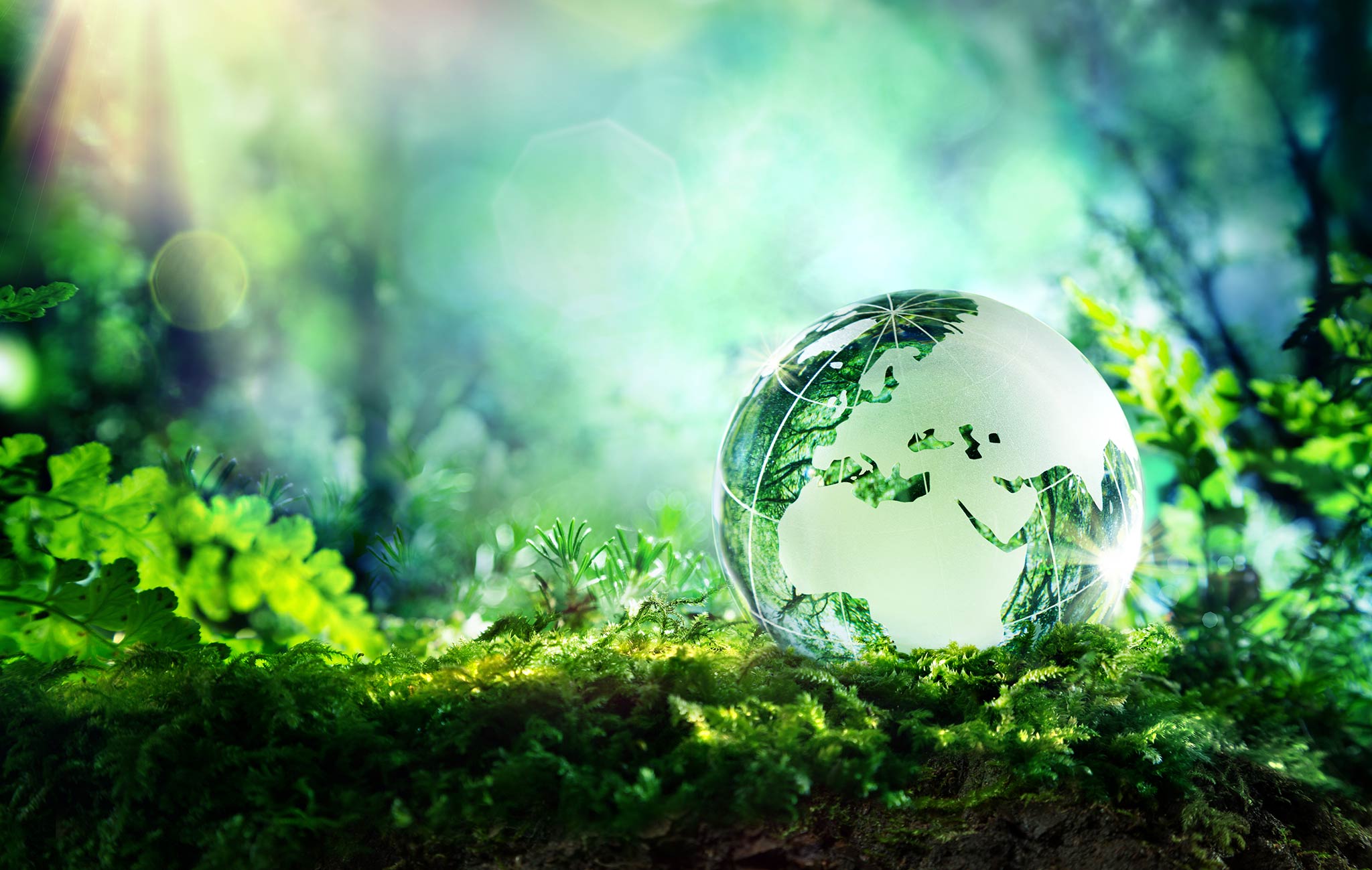 Sustainability - What Is It? Definition, Principles and Examples